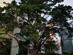 -香港港丽酒店