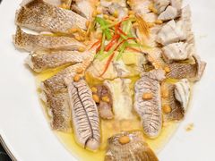 -吴记富苑(朝阳店)