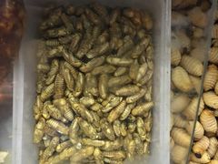 -火咂咂竹筒宴(告庄店)