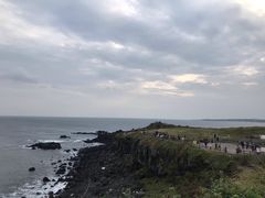 -涉地可支
