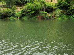 -九鲤溪瀑景区