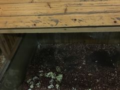 -上海大自然野生昆虫馆(东方明珠·爬宠昆虫探索中心)