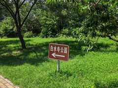 -白水寺森林公园