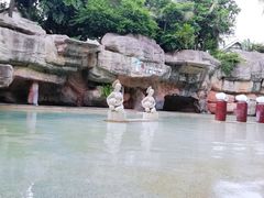 -海口观澜湖火山温泉谷