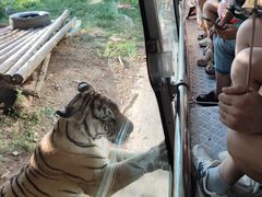 -西安秦岭野生动物园