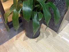 -伊喜饺子·烤鸭(五道口学院路店)