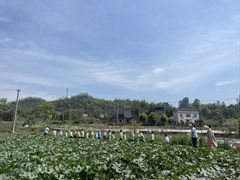 -宾果蒙特梭利托育儿童之家幼儿园(爱琴海店)