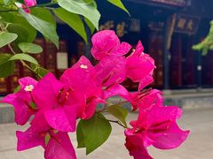 -古大圣慈寺
