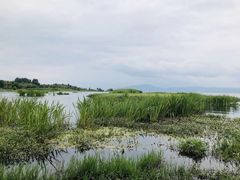 -大理洱海