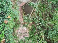 -中国铁路上海局集团有限公司杭州职工培训基地