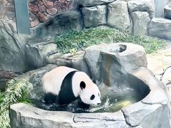 -红山森林动物园