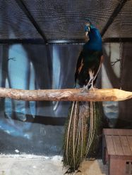 -酷嗒动物文化乐园(cutezoo西溪乐天城店)