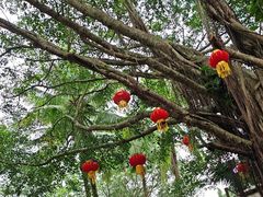 -海南热带野生动植物园