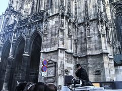 -斯蒂芬主教座堂(Stephansdom)