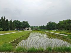 -北坞公园