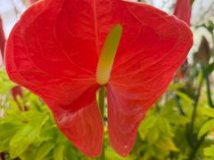 -外滩二十二号艺术中心