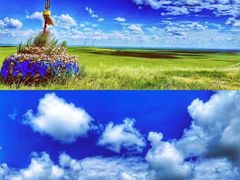 -呼伦贝尔大草原