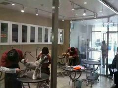 android_upload_pic-宠物家(双井店)
