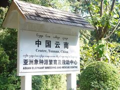 -野象谷景区