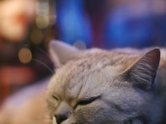 -不舍昼夜咖啡馆