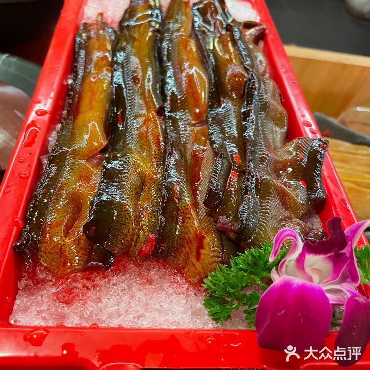 火爆朋友圈的川式火锅——谭鸭血老火锅