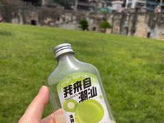 -石炮台公园