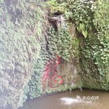 风景还是挺不错的，里面主要就是爬阶梯，因为时间原因