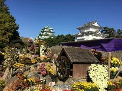-名古屋城