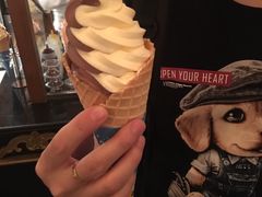 -IL paperino帕帕里诺冰激凌
