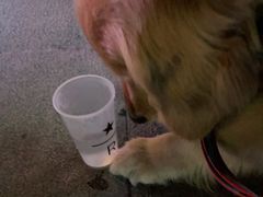 -星巴克臻选(上海合生汇1F店)