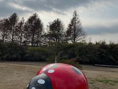 -上海都市菜园