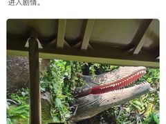 -中华恐龙园