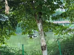 -重庆医科大学附属第一医院(金山院区)