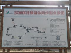 -大岭沟猕猴桃谷风景区
