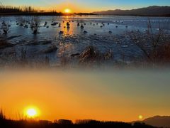 -野鸭湖国家湿地公园