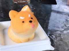 -柴犬高等学院·狗咖·柴犬售卖·宠物训练