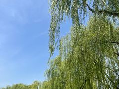 -西安世博园