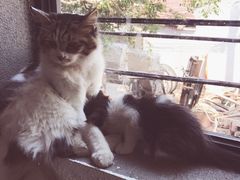 -五月木作·DIY木作文创体验店(北京路店)