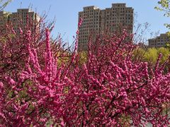 -大连外国语大学(旅顺校区)
