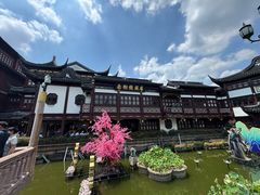 -南翔馒头店(豫园店)