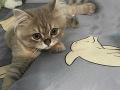 -爱诺耐芙动物医院(万博店)