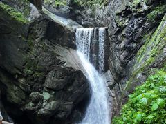 -牛背梁国家森林公园