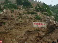 小岛-海驴岛(荣成市)