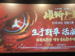 -深影国际影城(学院南路店CGS中国巨幕店)
