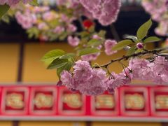 -龙华寺