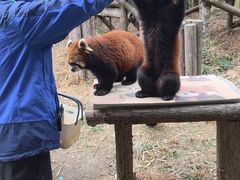 -宁波野生动物园