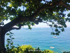 -三亚蜈支洲岛旅游区