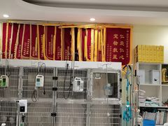 -悦宠动物医院(京丰分院)