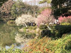 -杭州植物园