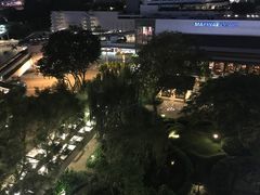 -新加坡泛太平洋酒店